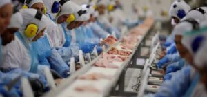 Alerta Máximo: Primeiro Caso de Gripe Aviária de 2023 Surge em São Paulo!