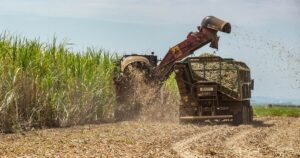 StoneX Revoluciona o Agronegócio: Uma Diversificação Impactante!