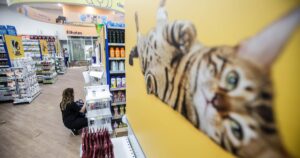 Petlove provoca na Justiça: Cade deve parar fusão de Petz e Cobasi!