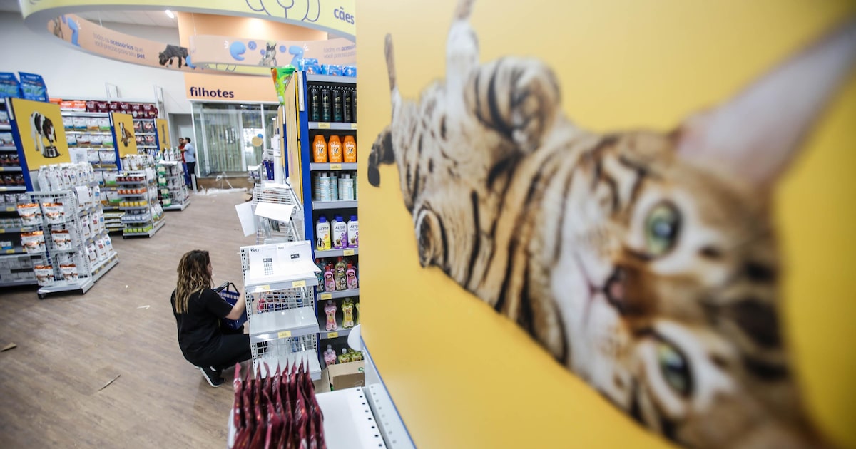 G4GATPHW3BAWHO27YYWUPGO2EA