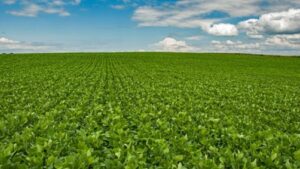 O Impacto Explosivo do Agronegócio no Rio Grande do Sul e no Brasil!