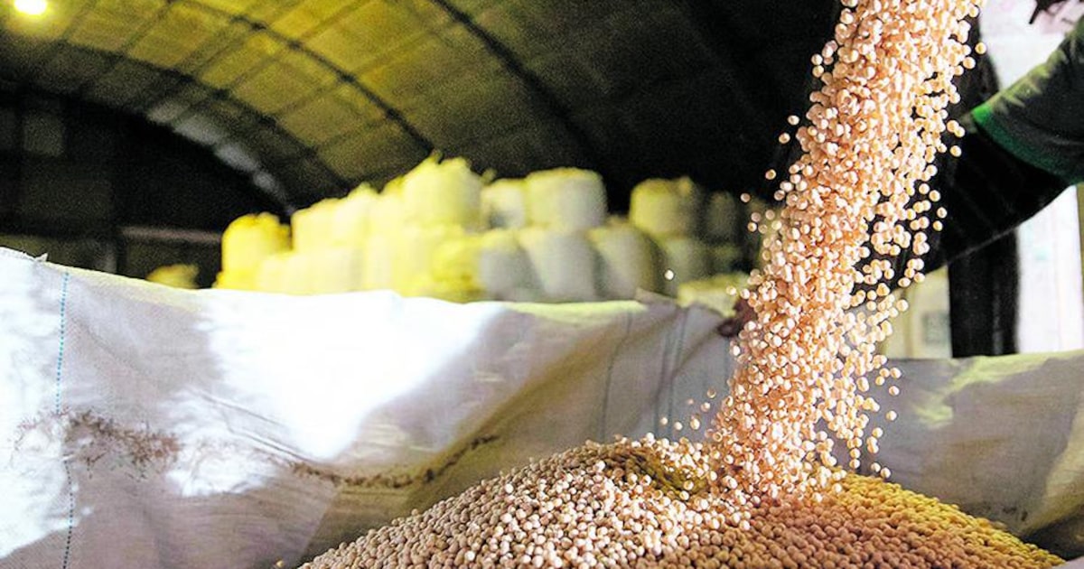 QP3N3DMPRNCSJLVVBHJRT6WR6A