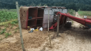 Tragédia no Céu: Balão com 33 Passageiros despenca em SP e Deixa um Morto!