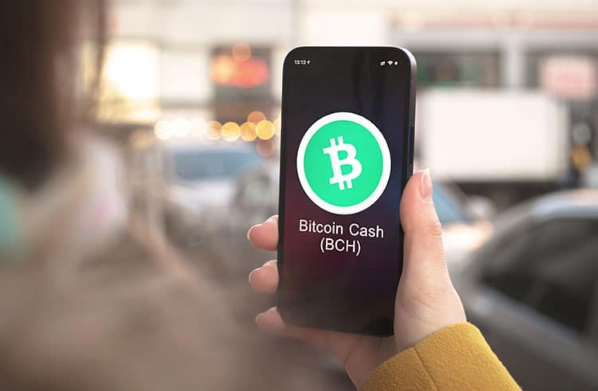 bitcoin cash bch