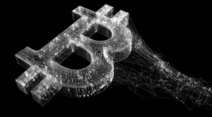 Desenvolvedor Planeja a Privatização do Bitcoin: O Fim da Criptomoeda como Conhecemos?