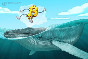 Bitcoiners em Polêmica: A Crença dos Pioneiros Está Abalada?