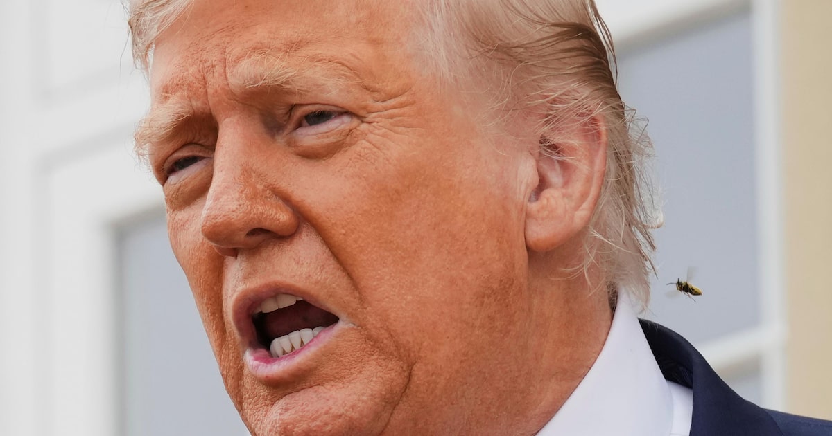 1753914017 SD3NSONCZBGPDJNK6BYVJ5WIE4