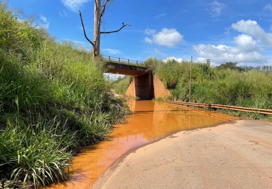 1 imagens maria julia nascimento 4 50676534