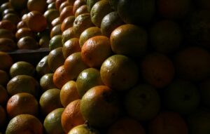 EUA Aplicam Taxa de 50%: Exportadores de Suco de Laranja em Apuros!