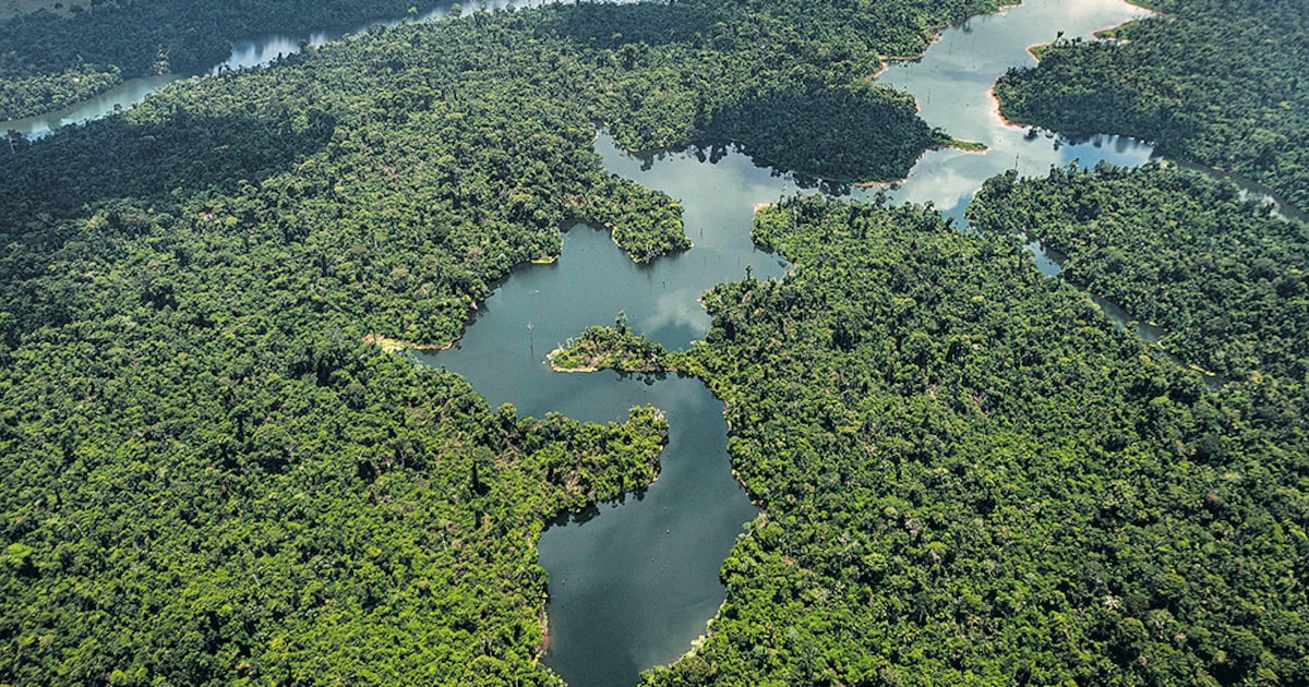 2ZKA3CO3Y5D53O227GK5XRZR7I