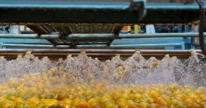 Importadoras de Suco Brasileiro nos EUA Lutam contra Tarifas: Pedido Urgente ao Tribunal!