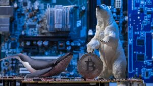 Investidor perde R$ 500 milhões ao desafiar o Bitcoin!