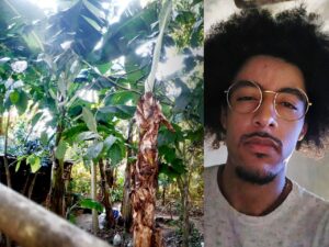 Braziileiro vive isolado na selva acumulando fortunas em Bitcoin!