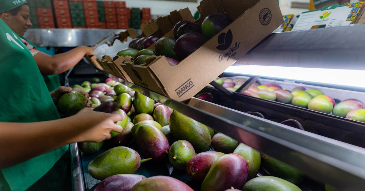 DS2WMQDIXJH65HGBHFJYO2N6TY