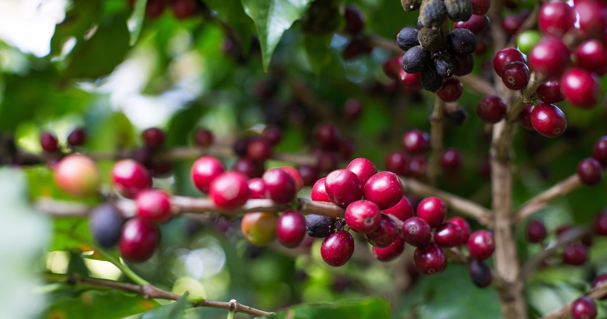 F5XJR7A4XVHSPL2DVHWYTBEZM4