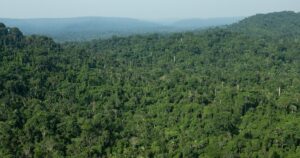Fundo Vale injetou US$ 65 milhões em cinco anos e acelerará para cumprir metas ambiciosas até 2030!