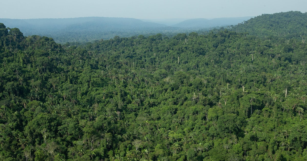Fundo Vale injetou US$ 65 milhões em cinco anos e acelerará para cumprir metas ambiciosas até 2030! 1 FFEC5RWBWNF5LH2O7YUE4ABXEA
