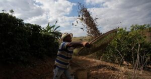Alerta: 82% das Exportações do Agro Brasileiro Ignoradas pelo Tarifaço de Trump!