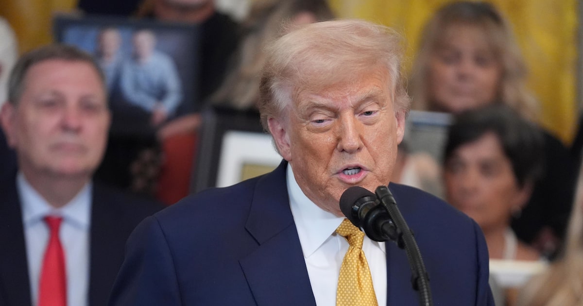 Trump dispara alerta sobre Brasil: “Alguns países vão desembolsar 50%!” 1 JKYQR3SIMRDAZDQ2QODQ6LXESM