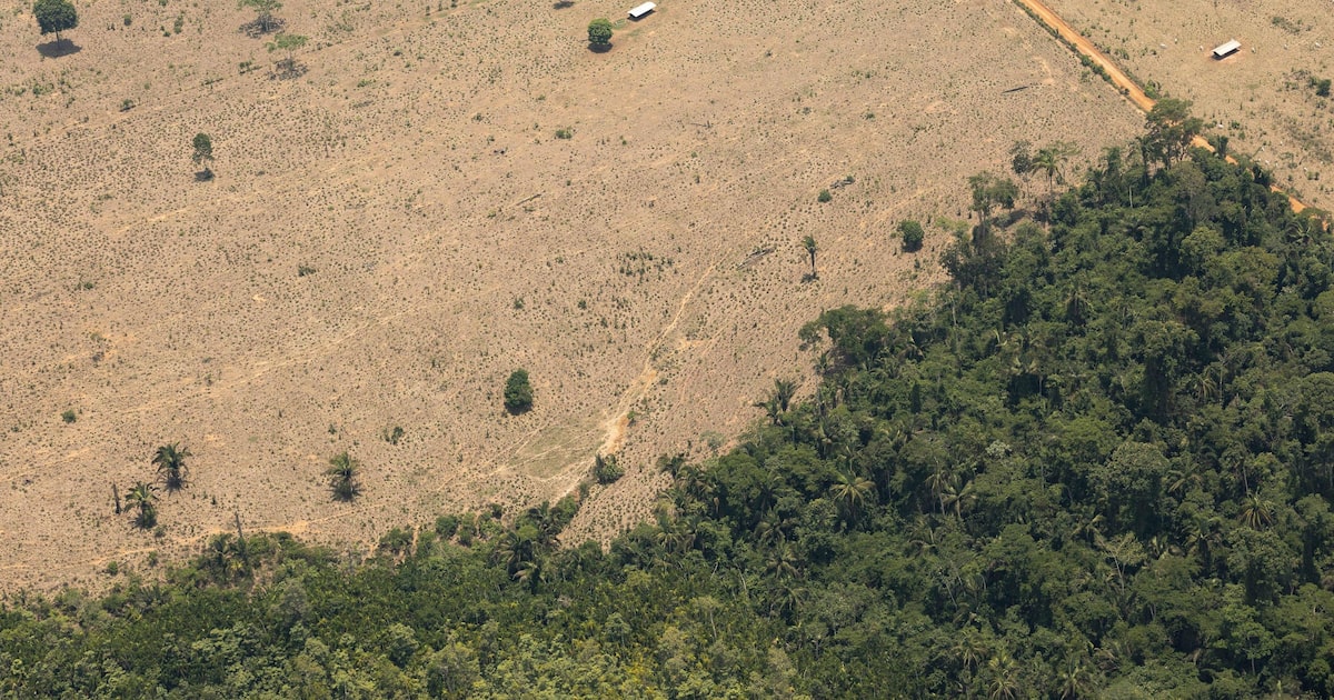 JYNMP43T4VBC3CNDYHX5Z6SXCQ