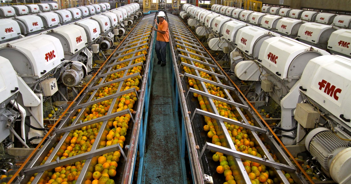 L5ERMHA4LRD4PN66BMFQK6MGNI