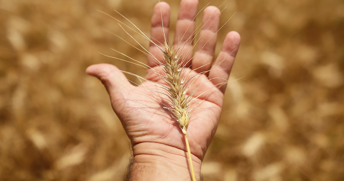 LRMIQI2YQRARZEK6PZE6FSD6RQ