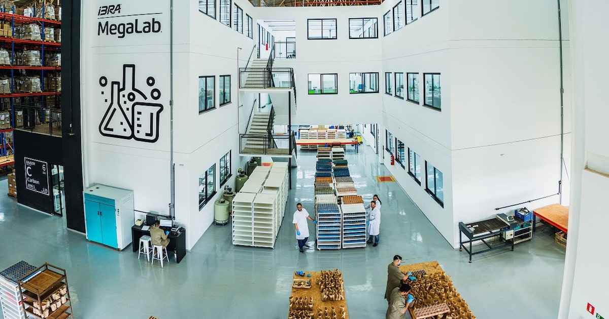 LTUFL7JJANAF7DXQNRJRKLU7JE