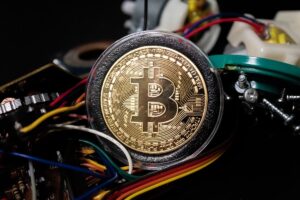 Ex-atleta de Rugby atrás das grades: esquema Ponzi de criptomoedas choca o mundo!