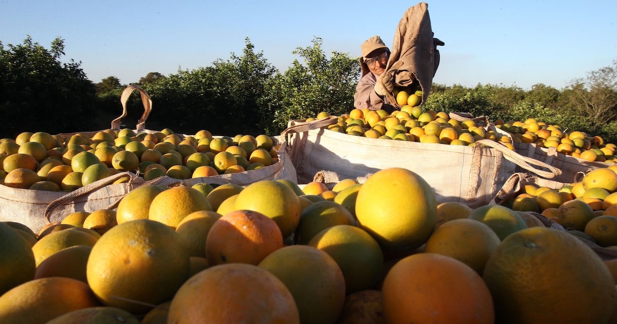 YFK5WYVDQFL3FN63POQZ25B6GU