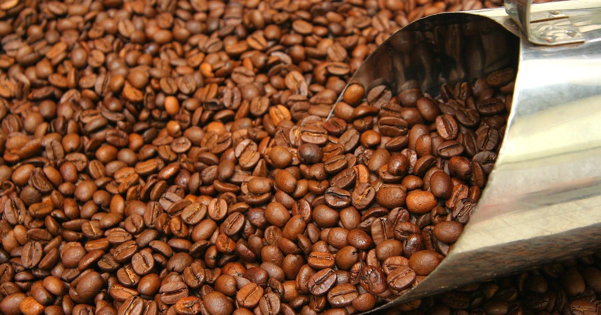 YLKRSU4LHZBKVGZJF6HQBSZA3Y