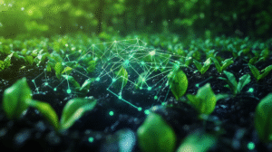 STF Adota Blockchain para Combater Crise do Carbono!