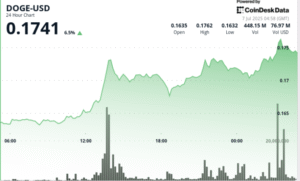 Whales Explodem Compras de Dogecoin com Apoio de Elon Musk ao BTC!