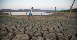 COP-30: O Impacto Imediato das Mudanças Climáticas no Setor de Seguros!