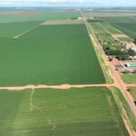 Boa Safra Campo Novo dos Parecis