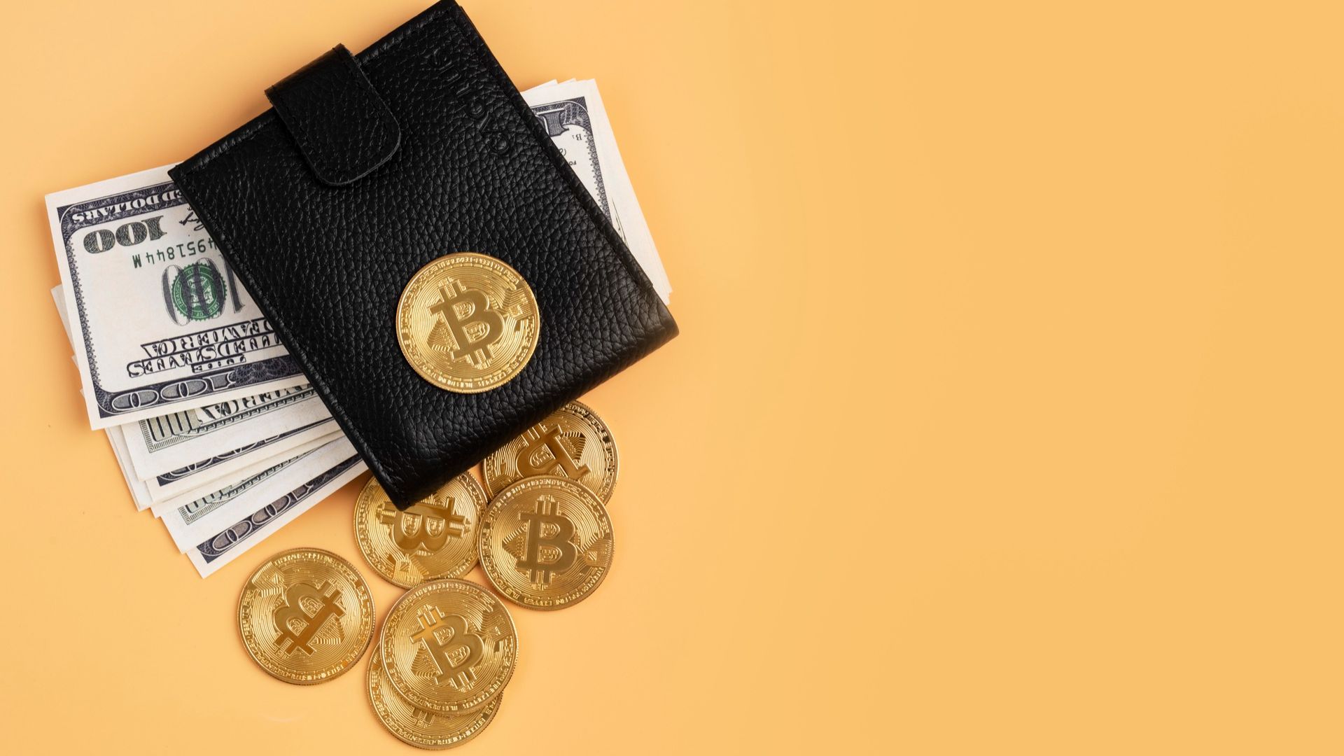 Carteira de criptomoedas com notas de dolares em