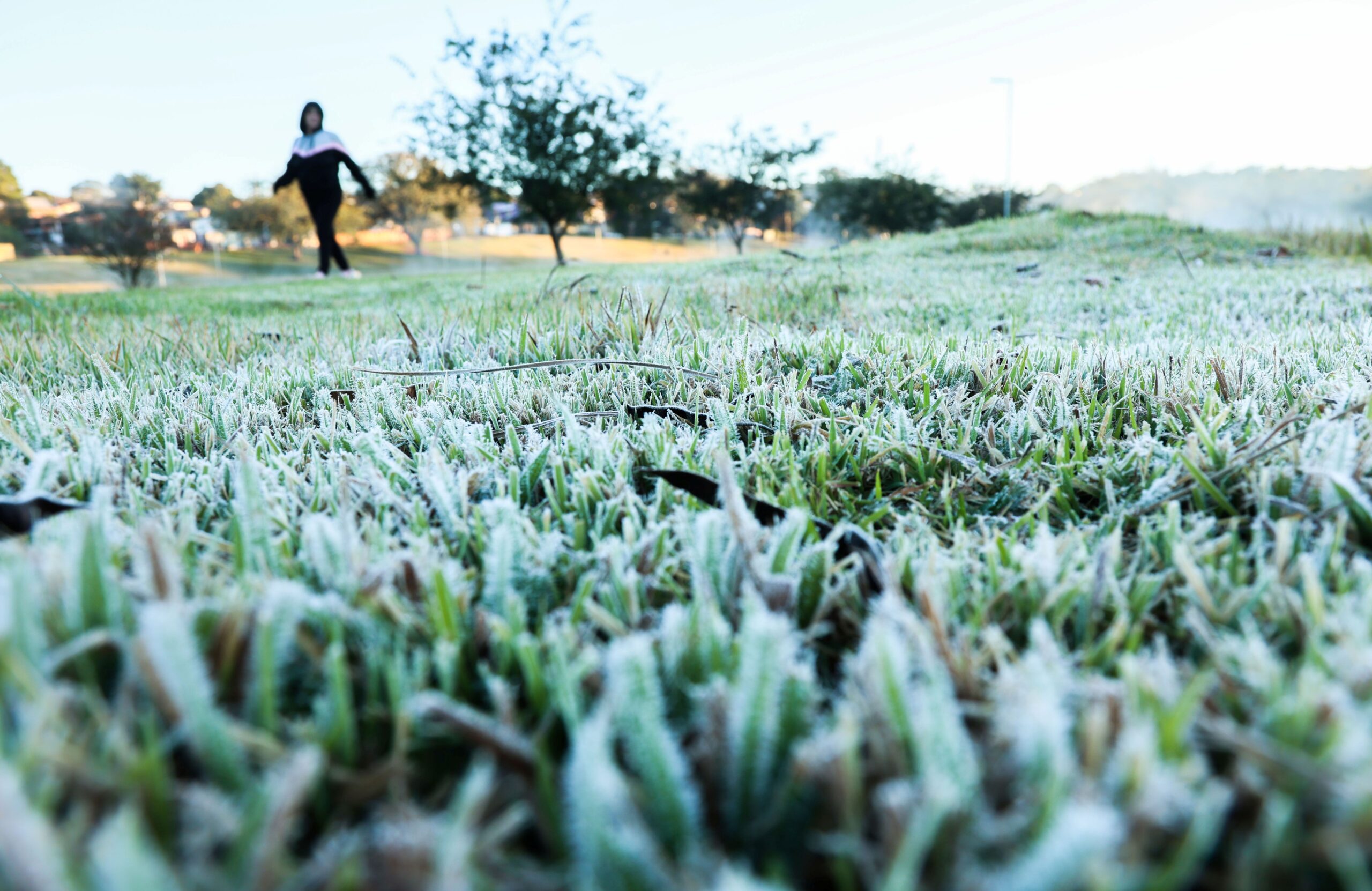 FTA20250731030 scaled