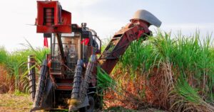 Etanol: O Brasil se Torna Líder Global em Descarbonização!