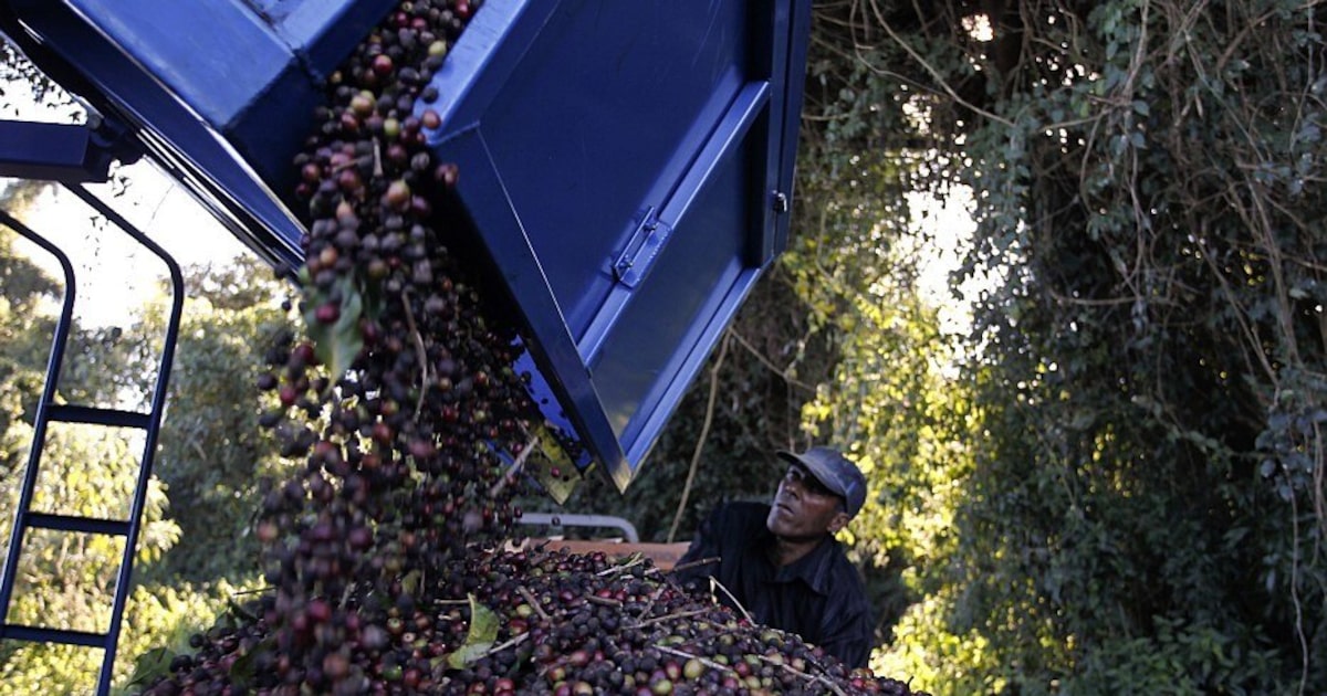 RVHBORKMYRPCTCIIWEHULKH4OA