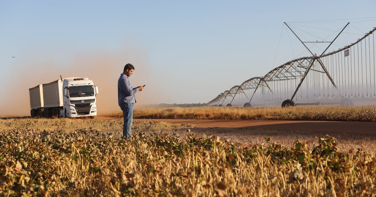 Revolução Agrícola: Três Safras Anuais e Produção Explosiva! 1 TXJAKI34AVEY7GLJVINQMNTSKA