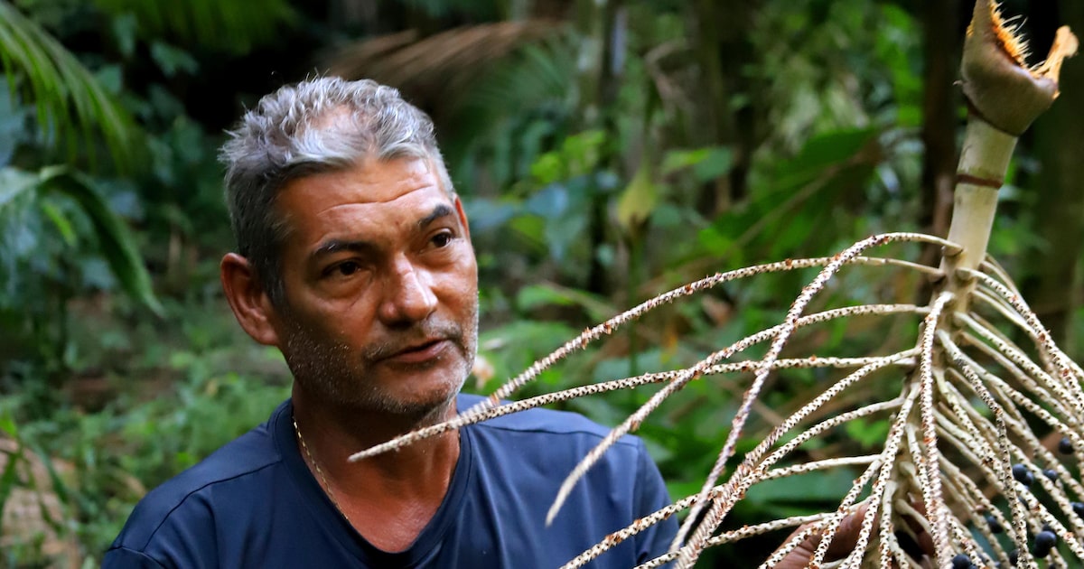 UQSMTQUY3JEBTBAZ2JTOOVFVEA