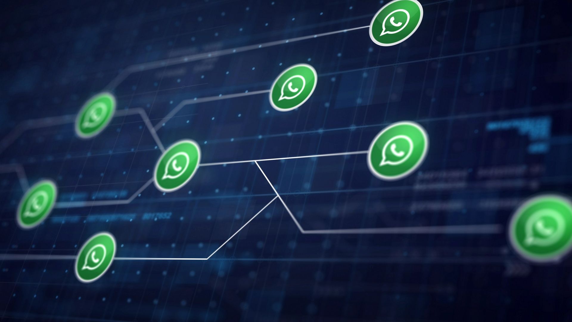 WhatsApp simbolos em rede