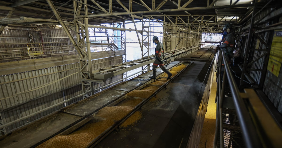 ZCK4OKC2MVC4XO3LHJ3F4ZD52E