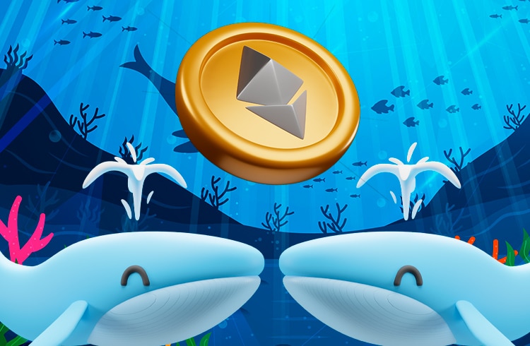 Gigante do Ethereum Festeja Alta e Inicia Grande Venda! 1 baleias eth