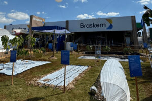 Tanure à beira da desistência: Alagoas sem acordo para Braskem!