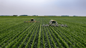 Fiagros: A Revolução que Abre as Portas do Agro para Pequenos Investidores!