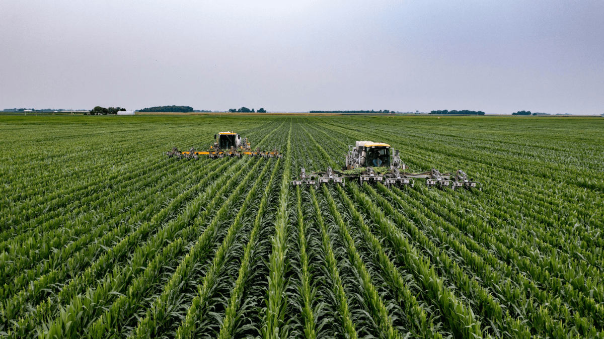 Fiagros: A Revolução que Abre as Portas do Agro para Pequenos Investidores! 1 james baltz zuhouVw4ZkQ unsplash