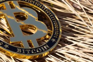 Polícia Desmantela Esquema: Bitcoin de Criminosos Confiscado e Milhões em Lucro!