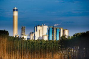 Suzano choca clientes asiáticos com aumento de US$ 20 na celulose!