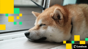SHIB e Dogecoin Despencam Após Impactante Roubo de R$ 12 Milhões no Shibarium!