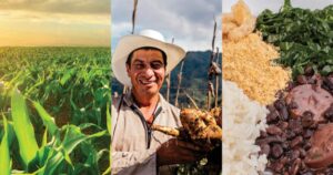 Alimentação: A Chave Surpreendente para Salvar o Planeta!